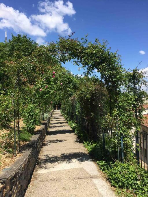 Apartamento Studio Close Fourviere Very Quiet & Small Terrace Lyon Exterior foto