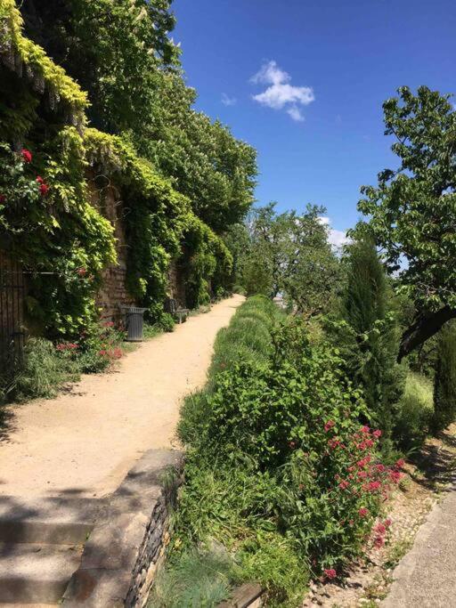 Apartamento Studio Close Fourviere Very Quiet & Small Terrace Lyon Exterior foto